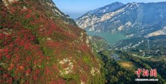 长江西陵峡：碧水红叶相映成画
